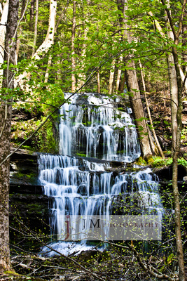 Gunn Brook Falls in Sunderland, MA